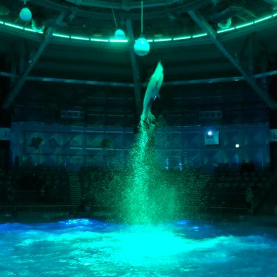 udonao0705's profile picture. 4児のパパ、サラリーマン、投資歴3年目突入（Twitter歴はまだ2年目です）試行錯誤を重ねて小さいながら毎月利益を得られるようになり始めたような始めてないような。引き続き無理しすぎない程度に楽しみたいと思います。