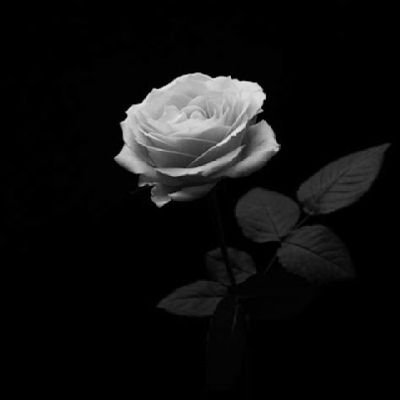 5H8hbssOvbetv7k's profile picture. الحمد لله