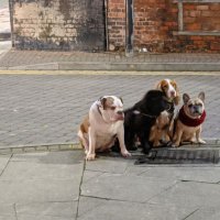 xxxx (@shichen43583912) 's Twitter Profile