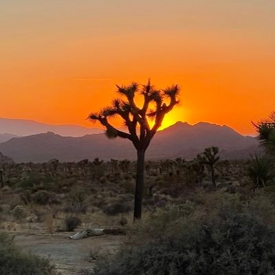 kidneycryptodoc's profile picture. Share medical info and tips to bring health awareness. Real life patient stories to ponder on meaning of life. Perpetual learner. Motivator. Interest in Crypto