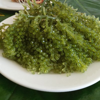 nisikera's profile picture. You Learn More From Failure Than From Success. Don’t Let It Stop You. Failure Builds Character