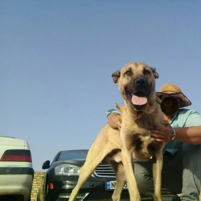 zara667399's profile picture. تولید و فروش،تحلیل گر ،تجارت الکترونیکی ،بازار جهانی
