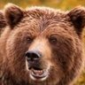 SDPFlorida's profile picture. Just another grumpy old guy in Florida, dad, grandpa