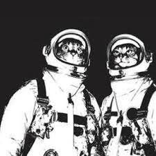 jhon35338954's profile picture. 