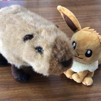 ドズル社好きです。箱推しと言えるほど活動できませんが、自分なりに応援したいと思います! 最近はふじみやさんがとっても好きです。
