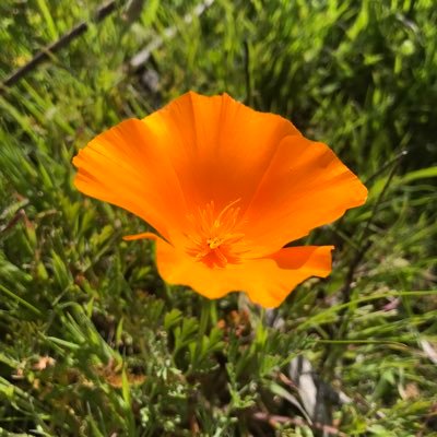 Santa Monica Mt Fund Profile