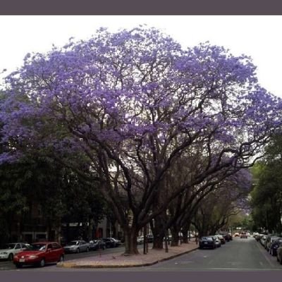 @CondesaVecinos