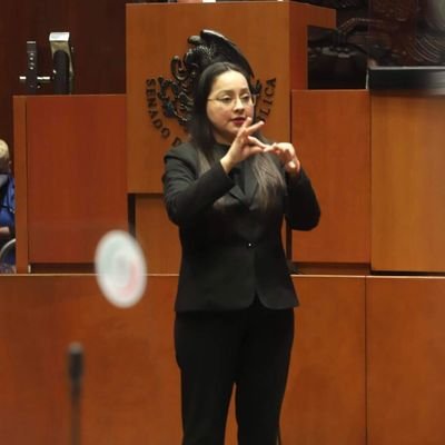 Intérprete de Lengua de Señas Mexicana en Senado, Congreso Sinaloa, IEES. Político electoral, DDHH y género. 5548767663