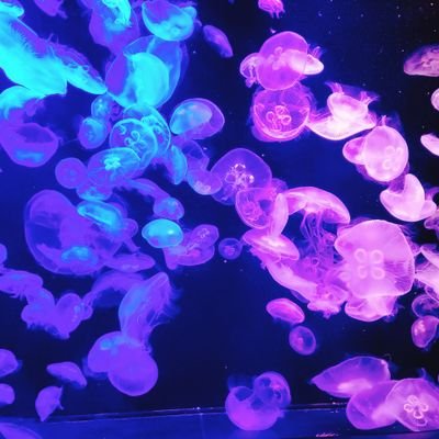 日頃の愚痴多いかも...聞いてくれたりアドバイスとか共感してくれると嬉しい
APEX
男です