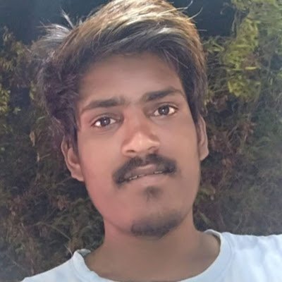 pinllodi's profile picture. 