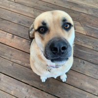Gail Davoren (@davorengail) 's Twitter Profile Photo Gail Davoren (@davorengail) 's Twitter Profile Photo