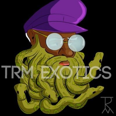 TRM_EXOTICS's profile picture. Exotic pet breeder! Check out my other pages! 
IG: TRM_EXOTICS
Tick rock: TRM_EXOTICS