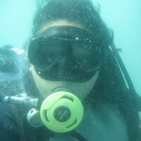 D . I . R . P ☺ (@donnairp) 's Twitter Profile