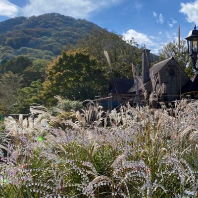 Financier7's profile picture. 