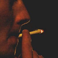 defected (@defected) 's Twitter Profile