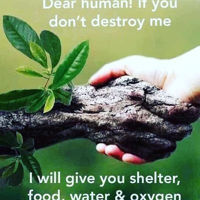 Purusot77177903's profile picture. All is well