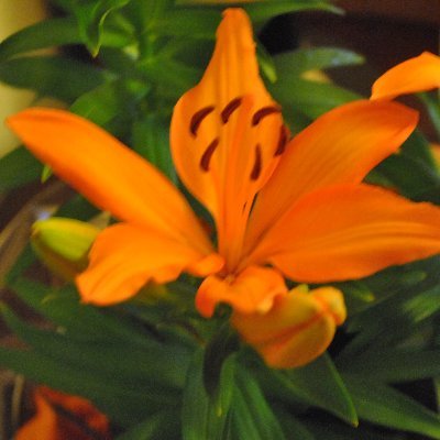 rolandmcjr's profile picture. second Twitter account. Desktop version.
Here to tell you that there are other ideas other than yours..