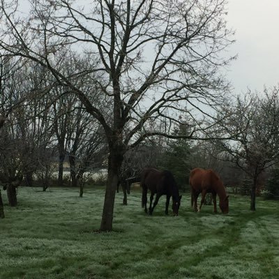 Magali93869455's profile picture. 