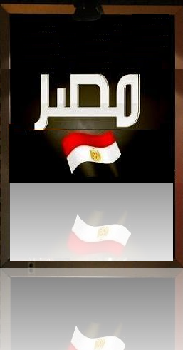 صاحب شركة T_link لنظم تكنولوجيا المعلومات وبرمجة الويب، المدير العام للمركز الدولى للاعلام بالاسكندرية