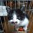 しんたまのTwitterプロフィール画像