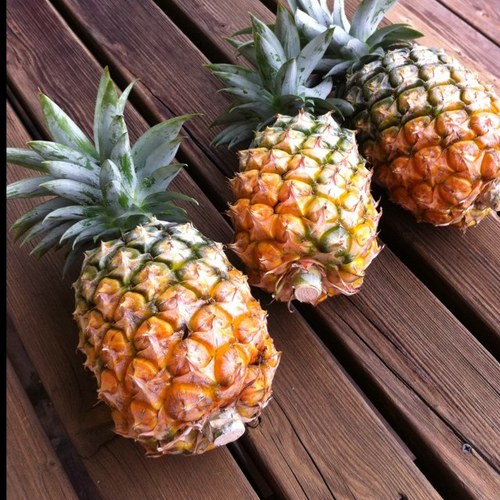 NORIKO_east's profile picture. ボート、自転車、ダイビング   ２０１２年はTEAM PROTEK JAPANでチームのサポート  夏は南へ逃亡しましす👾🛡️ @wardenprotocol