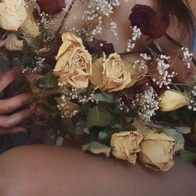 prettydeadrose5's profile picture. les fleurs dans le noir sont toujours des fleurs