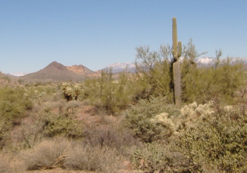 azpat1Pat's profile picture. 