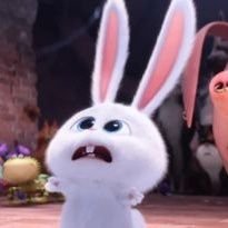 ʙɪʙʙʟᴇ | หาลูกทีม