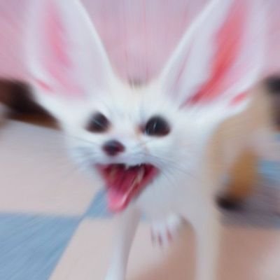 RmnHrtx's profile picture. J'aime blender, BeatSaber, Fnaf, flstudio.