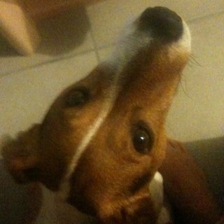 geekette73's profile picture. 