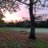 ParkEndsleigh's profile image