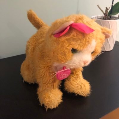 vanasseseb's profile picture. 