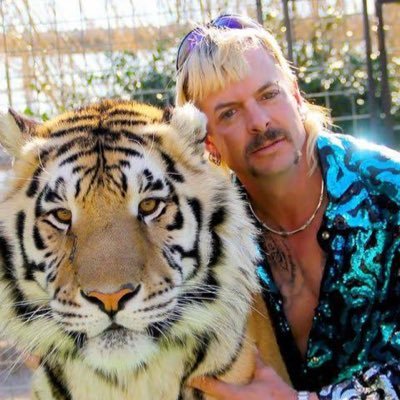 Love everything Marvel & Love Captain America & Thor! love Tigers and Tiger King and Joe Exotic 🐅