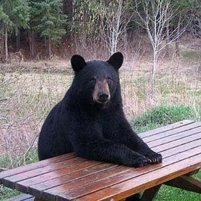 scribblednote's profile picture. 