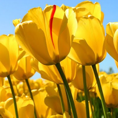 BinhToi1's profile picture. 