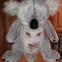 TitanTheEngineer (@titansbackagain) 's Twitter Profile