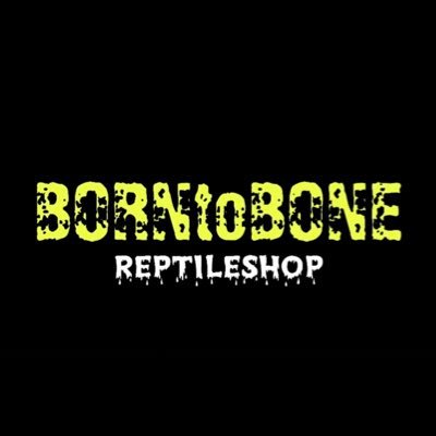 爬虫類専門店 BORN toBONE 爬虫類買い取り。引き取り致します！ブリーダー様大歓迎！お問い合わせ 08044705549 販売76-0438 保管76-0439