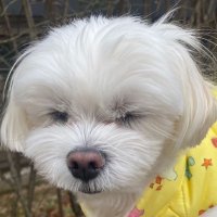 . (@joyfulsonly) 's Twitter Profile Photo . (@joyfulsonly) 's Twitter Profile Photo