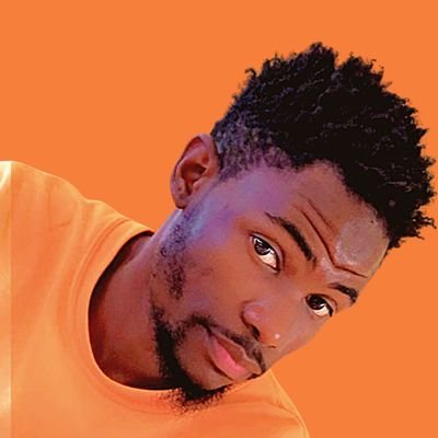 BSidjou's profile picture. Développeur (Routine du dev)