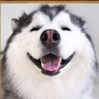 heook (@lin_tzuheng) 's Twitter Profile
