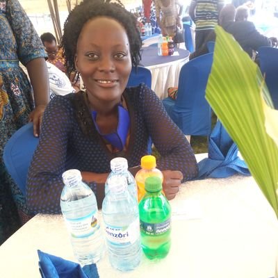 Information Scientist, Administrative Lawyer, Computer Literacy Tutor, Graphics Designer.