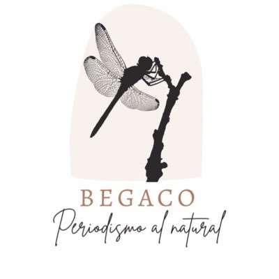 ¿Quieres conocer lo más fresco y natural de la gastronomía, medio ambiente, moda y turismo? Te esperábamos.
Fundadora @begaco9