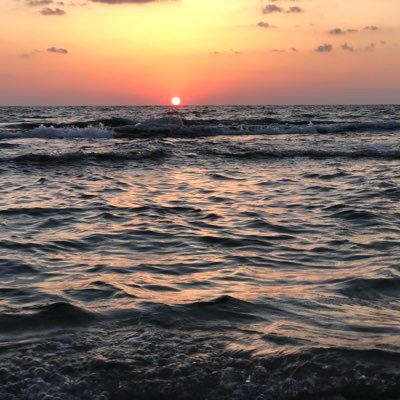 EMerhav's profile picture. 