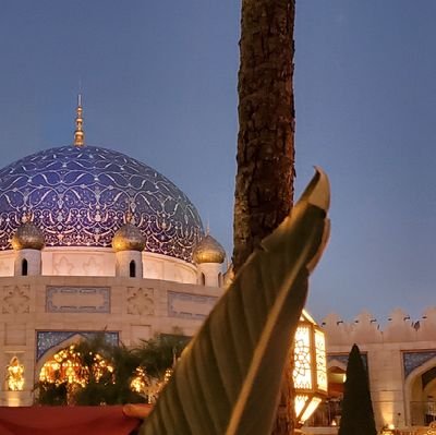 u3GKYfSNOzAydMe's profile picture. 大本教や日月神示の預言を追っています！
情報お持ちの方、是非教えてください＼(^-^)／
ミステリアスでとても神秘的な世界！のめり込みすぎずホドホドの距離感をモットーに♥️