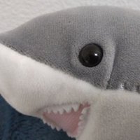 さめ (@sharksukemaru3) 's Twitter Profile