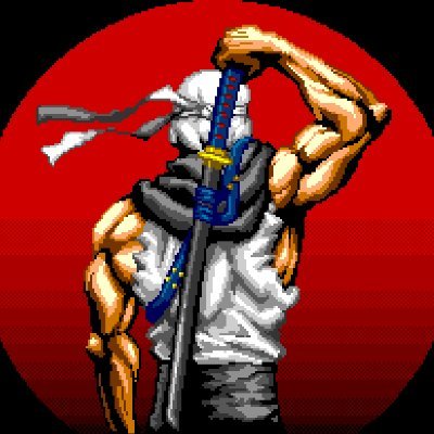 We are indie game developer for the SEGA Genesis / Mega Drive. Our ninja team work with passion for retrogaming to create brand new action games like in 80s.