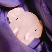 にんじん大好き (@KOALALALALALA5) / X