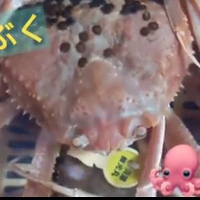 hero (@a8aH0iLYhztYKhW) / Posts / X