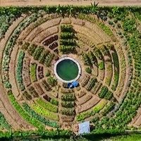 Arif Jamal (@evoreef) 's Twitter Profile