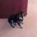 Victoria Tobin - @vt53 - Twitter